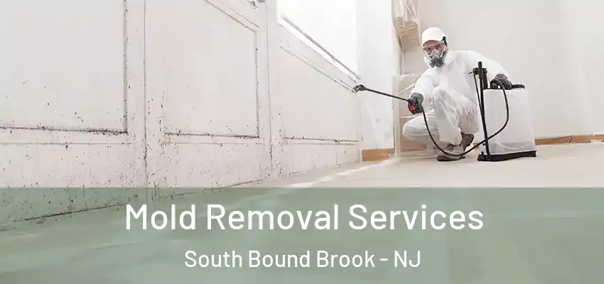 Mold Removal Services South Bound Brook - NJ