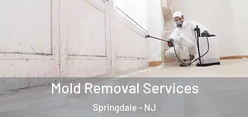  Mold Removal Services Springdale - NJ