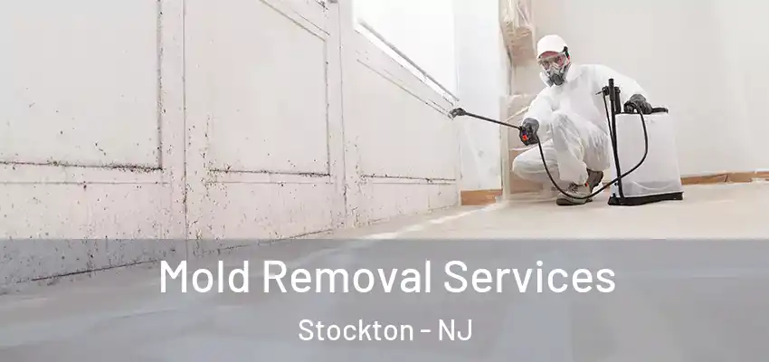 Mold Removal Services Stockton - NJ
