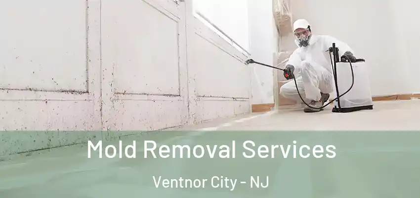 Mold Removal Services Ventnor City - NJ