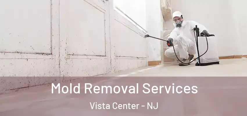  Mold Removal Services Vista Center - NJ
