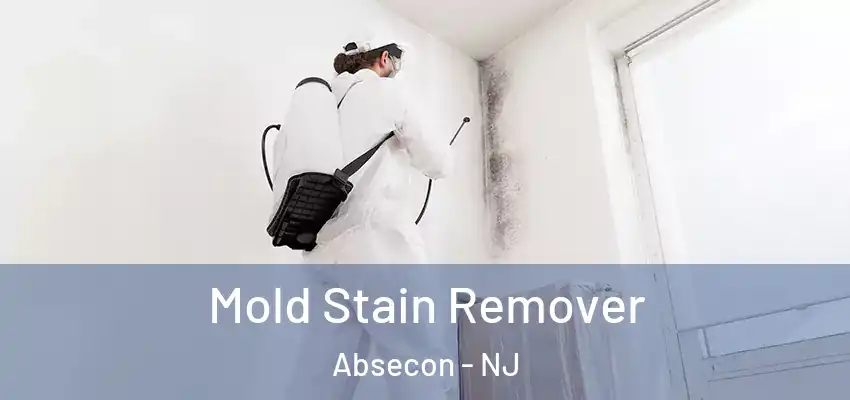 Mold Stain Remover Absecon - NJ