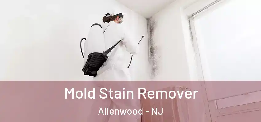 Mold Stain Remover Allenwood - NJ