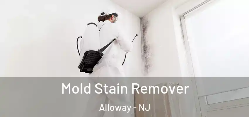  Mold Stain Remover Alloway - NJ