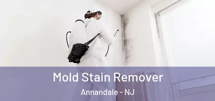 Mold Stain Remover Annandale - NJ