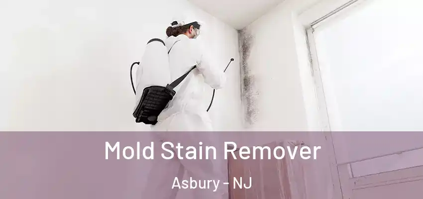  Mold Stain Remover Asbury - NJ