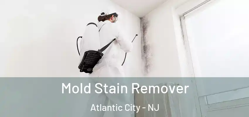 Mold Stain Remover Atlantic City - NJ