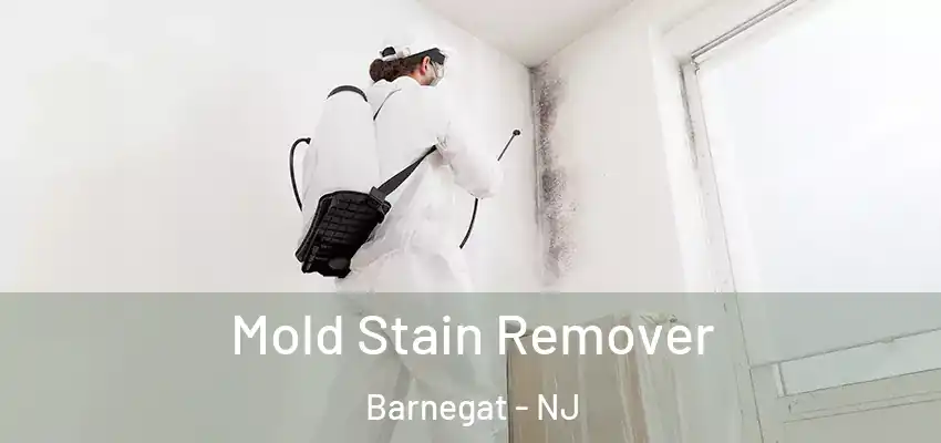 Mold Stain Remover Barnegat - NJ