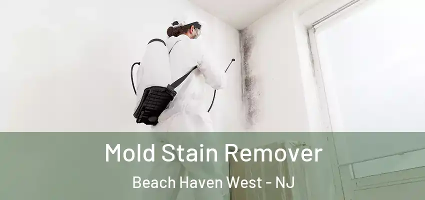 Mold Stain Remover Beach Haven West - NJ
