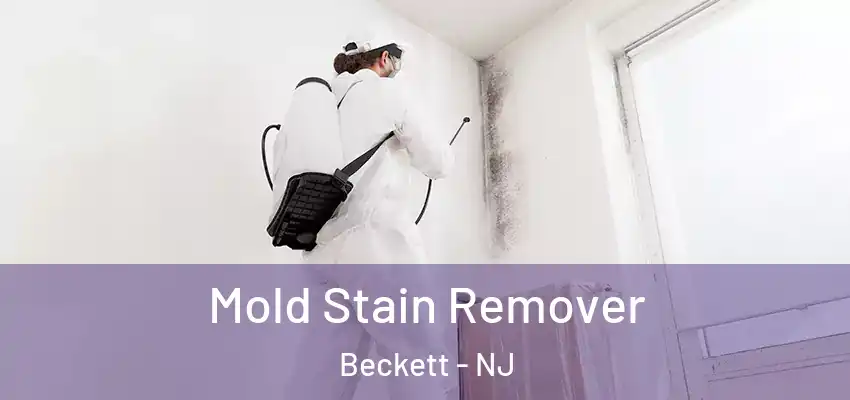Mold Stain Remover Beckett - NJ