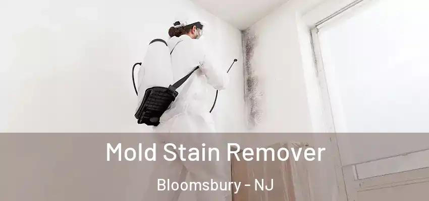  Mold Stain Remover Bloomsbury - NJ