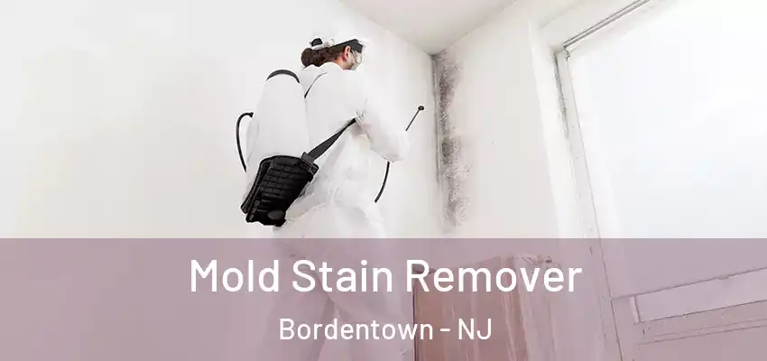 Mold Stain Remover Bordentown - NJ