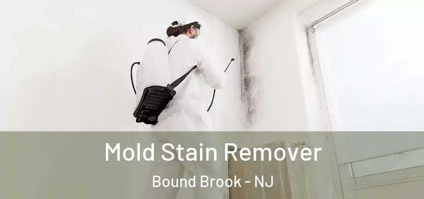  Mold Stain Remover Bound Brook - NJ