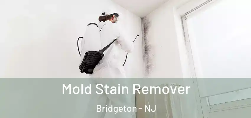Mold Stain Remover Bridgeton - NJ