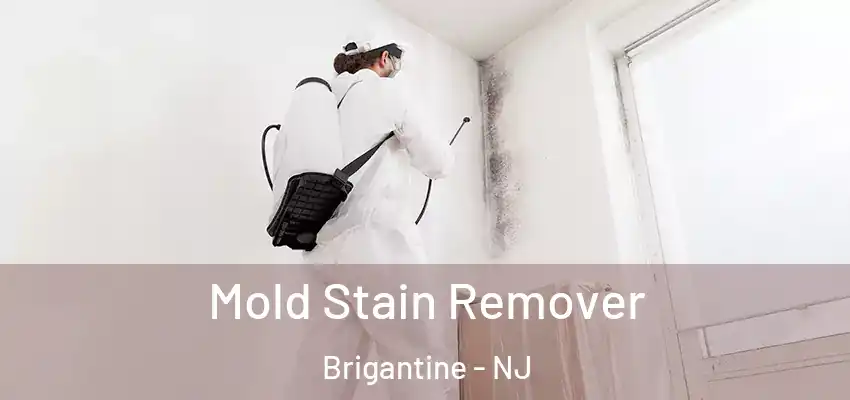 Mold Stain Remover Brigantine - NJ