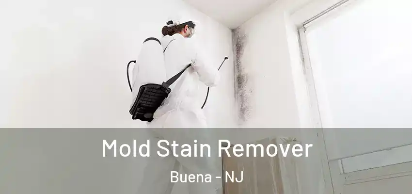 Mold Stain Remover Buena - NJ