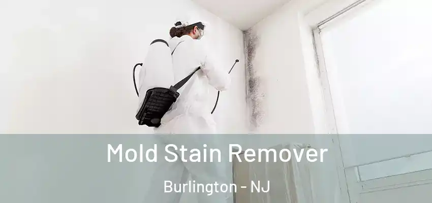 Mold Stain Remover Burlington - NJ