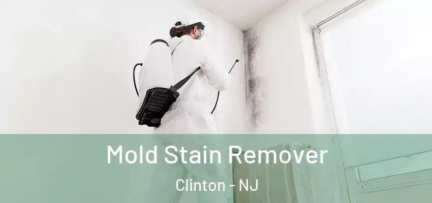  Mold Stain Remover Clinton - NJ