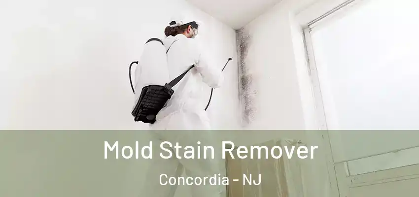 Mold Stain Remover Concordia - NJ