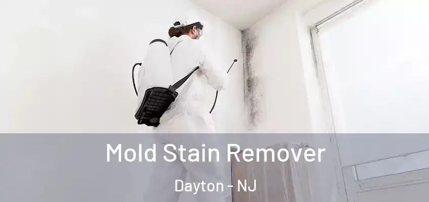 Mold Stain Remover Dayton - NJ