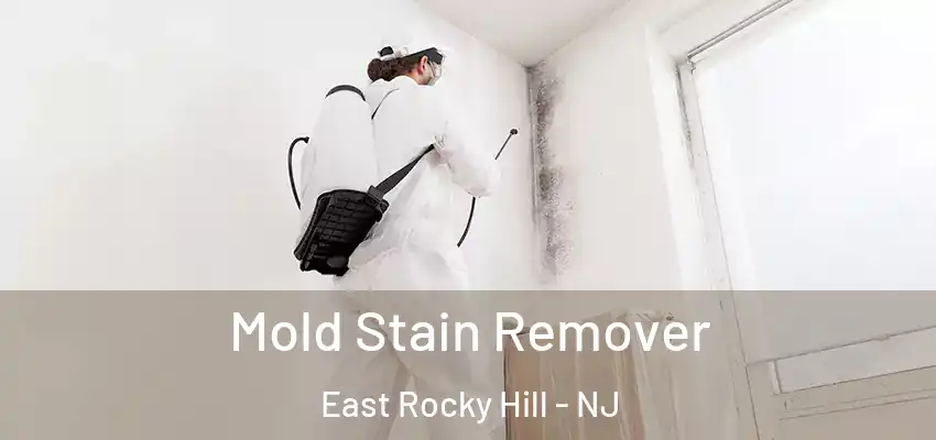  Mold Stain Remover East Rocky Hill - NJ