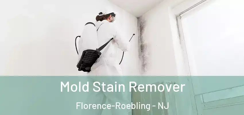  Mold Stain Remover Florence-Roebling - NJ