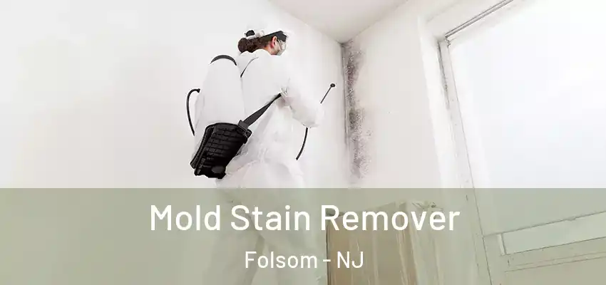 Mold Stain Remover Folsom - NJ