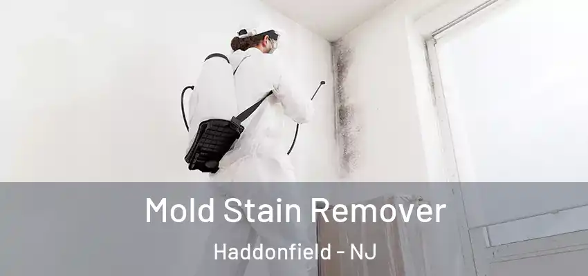  Mold Stain Remover Haddonfield - NJ