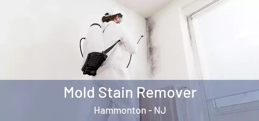 Mold Stain Remover Hammonton - NJ