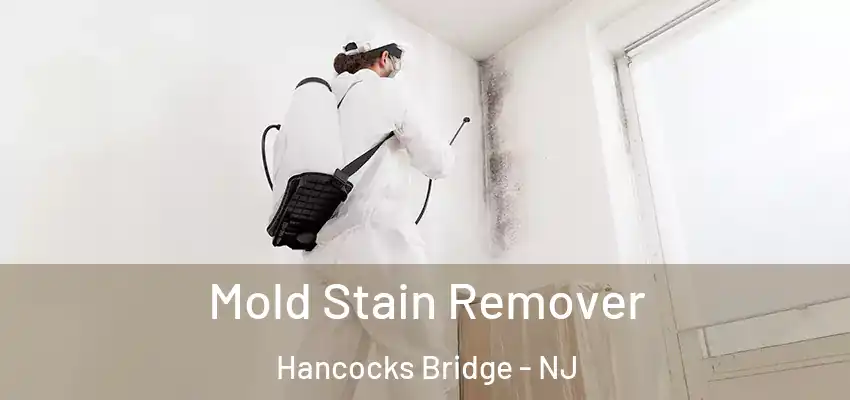 Mold Stain Remover Hancocks Bridge - NJ