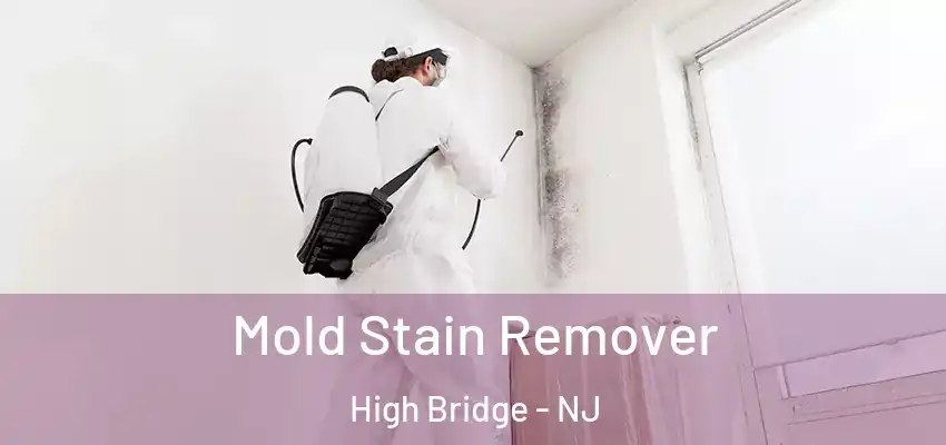 Mold Stain Remover High Bridge - NJ