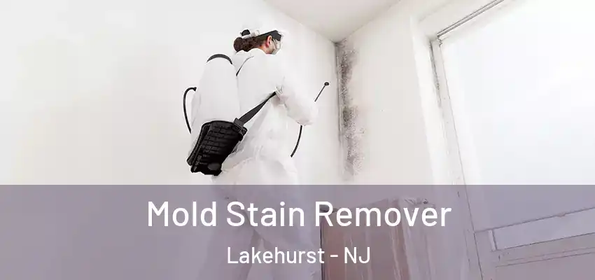  Mold Stain Remover Lakehurst - NJ