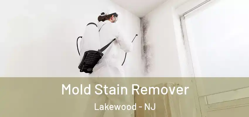 Mold Stain Remover Lakewood - NJ