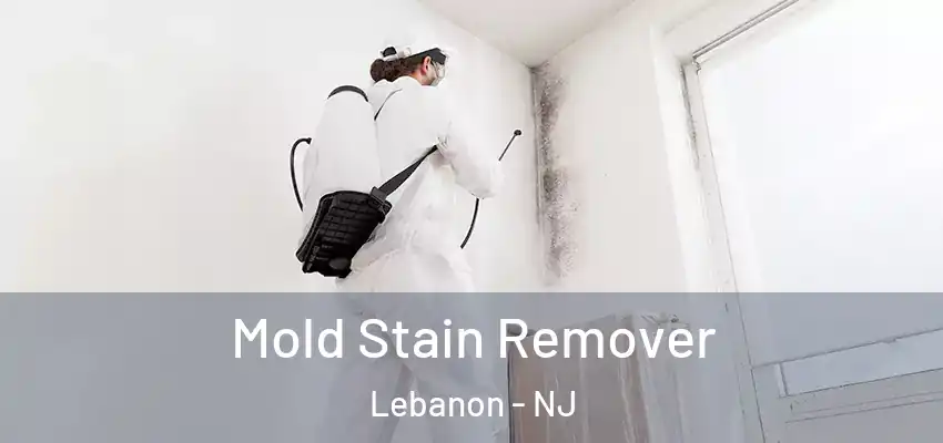 Mold Stain Remover Lebanon - NJ