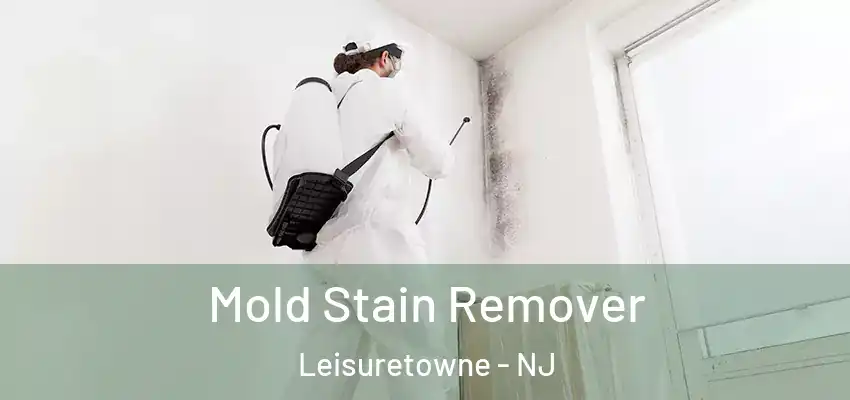Mold Stain Remover Leisuretowne - NJ