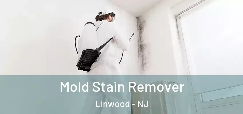 Mold Stain Remover Linwood - NJ