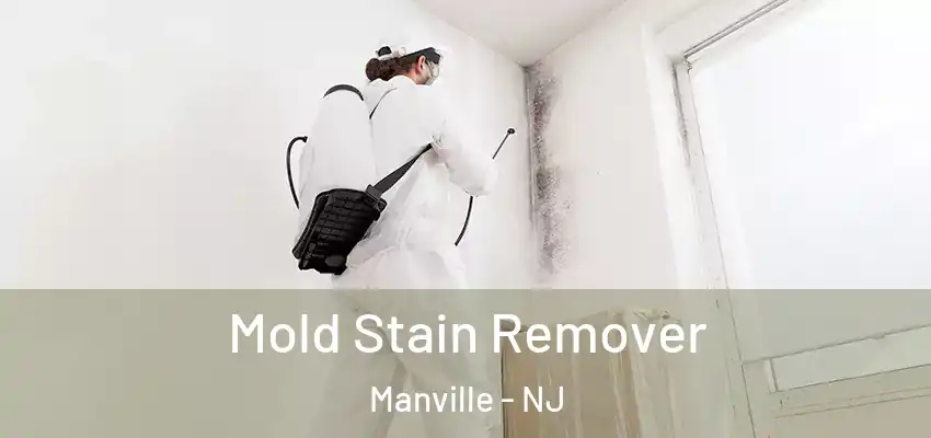 Mold Stain Remover Manville - NJ