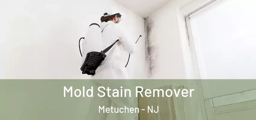 Mold Stain Remover Metuchen - NJ