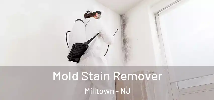 Mold Stain Remover Milltown - NJ
