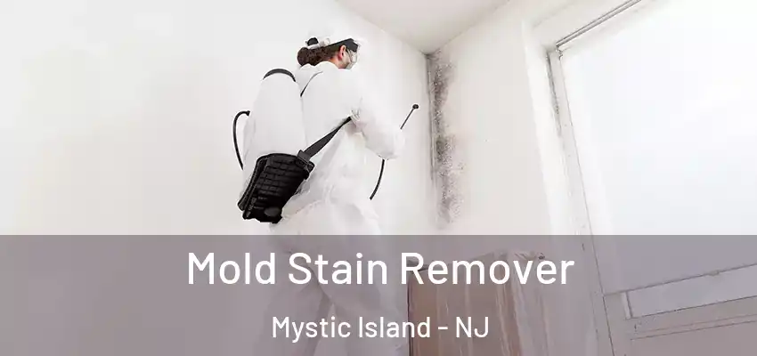 Mold Stain Remover Mystic Island - NJ