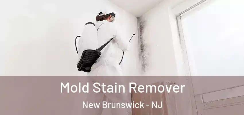 Mold Stain Remover New Brunswick - NJ