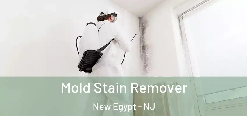 Mold Stain Remover New Egypt - NJ