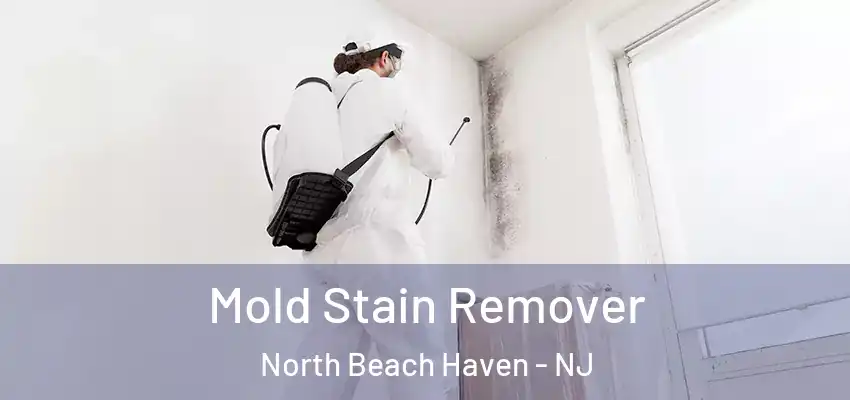 Mold Stain Remover North Beach Haven - NJ