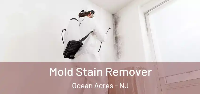 Mold Stain Remover Ocean Acres - NJ