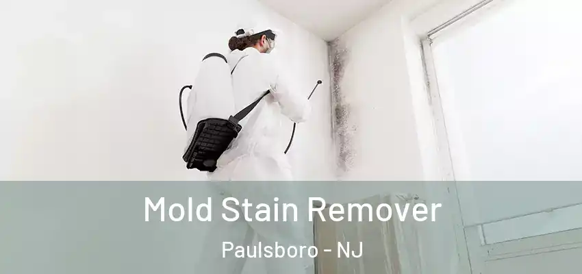 Mold Stain Remover Paulsboro - NJ