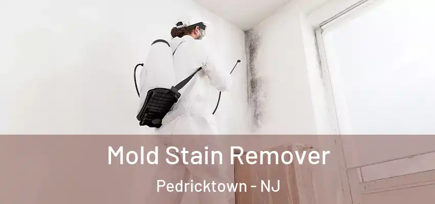 Mold Stain Remover Pedricktown - NJ