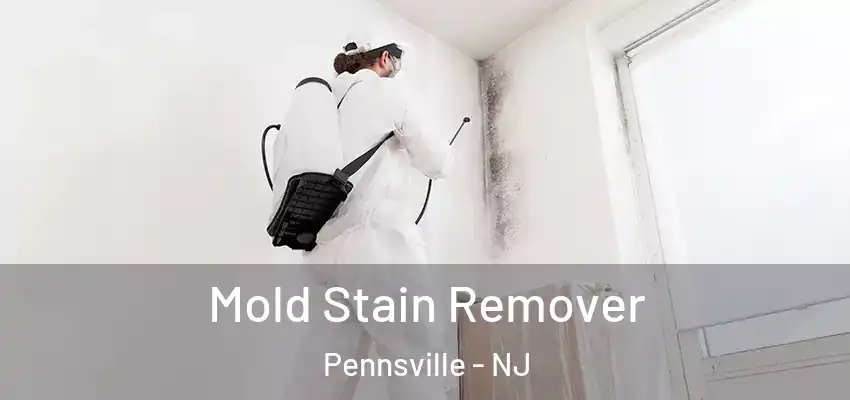 Mold Stain Remover Pennsville - NJ