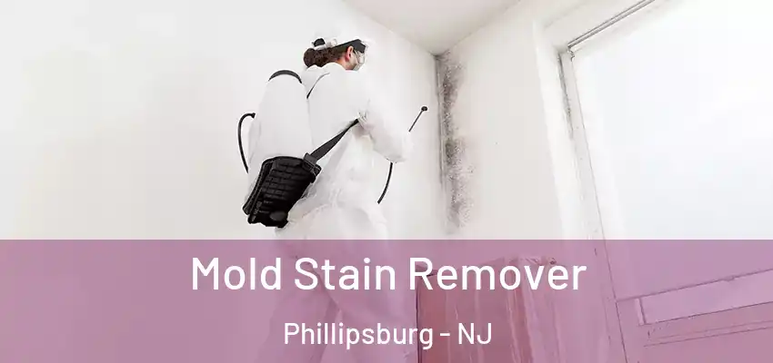  Mold Stain Remover Phillipsburg - NJ