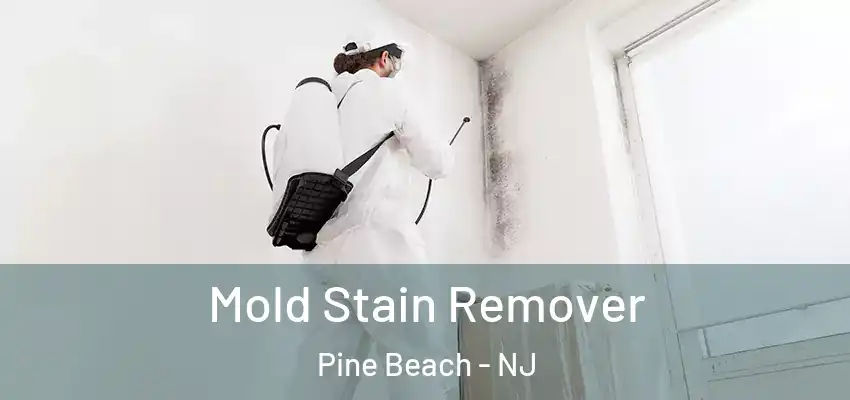  Mold Stain Remover Pine Beach - NJ