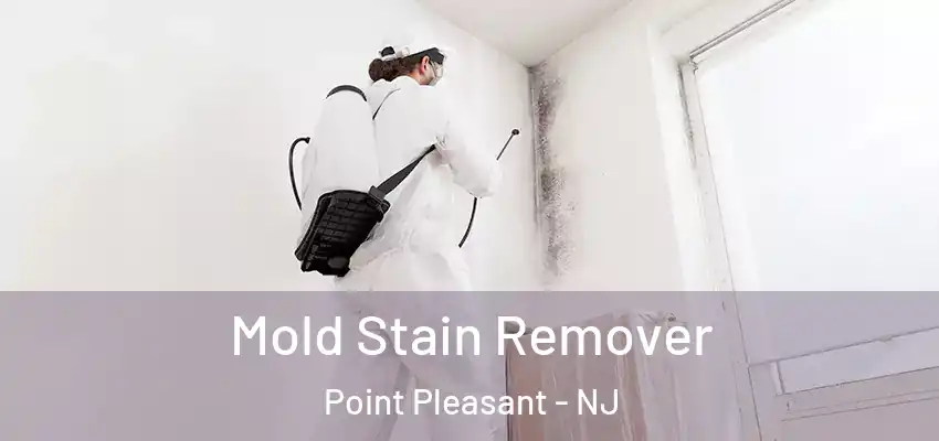 Mold Stain Remover Point Pleasant - NJ